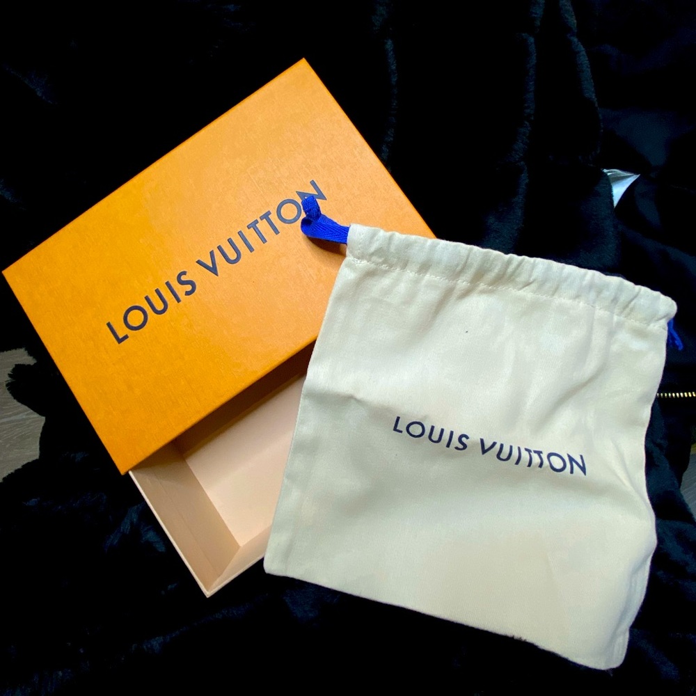 Louis Vuitton Medium Box and Dust Bag